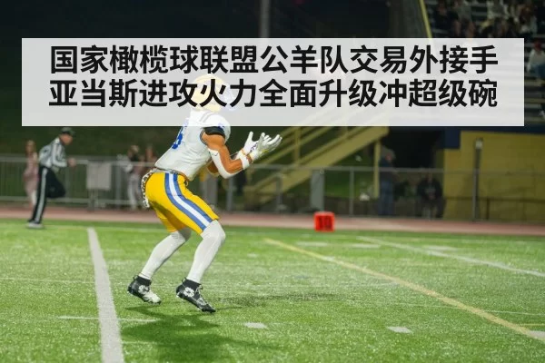 国家橄榄球联盟公羊队交易外接手亚当斯进攻火力全面升级冲超级碗